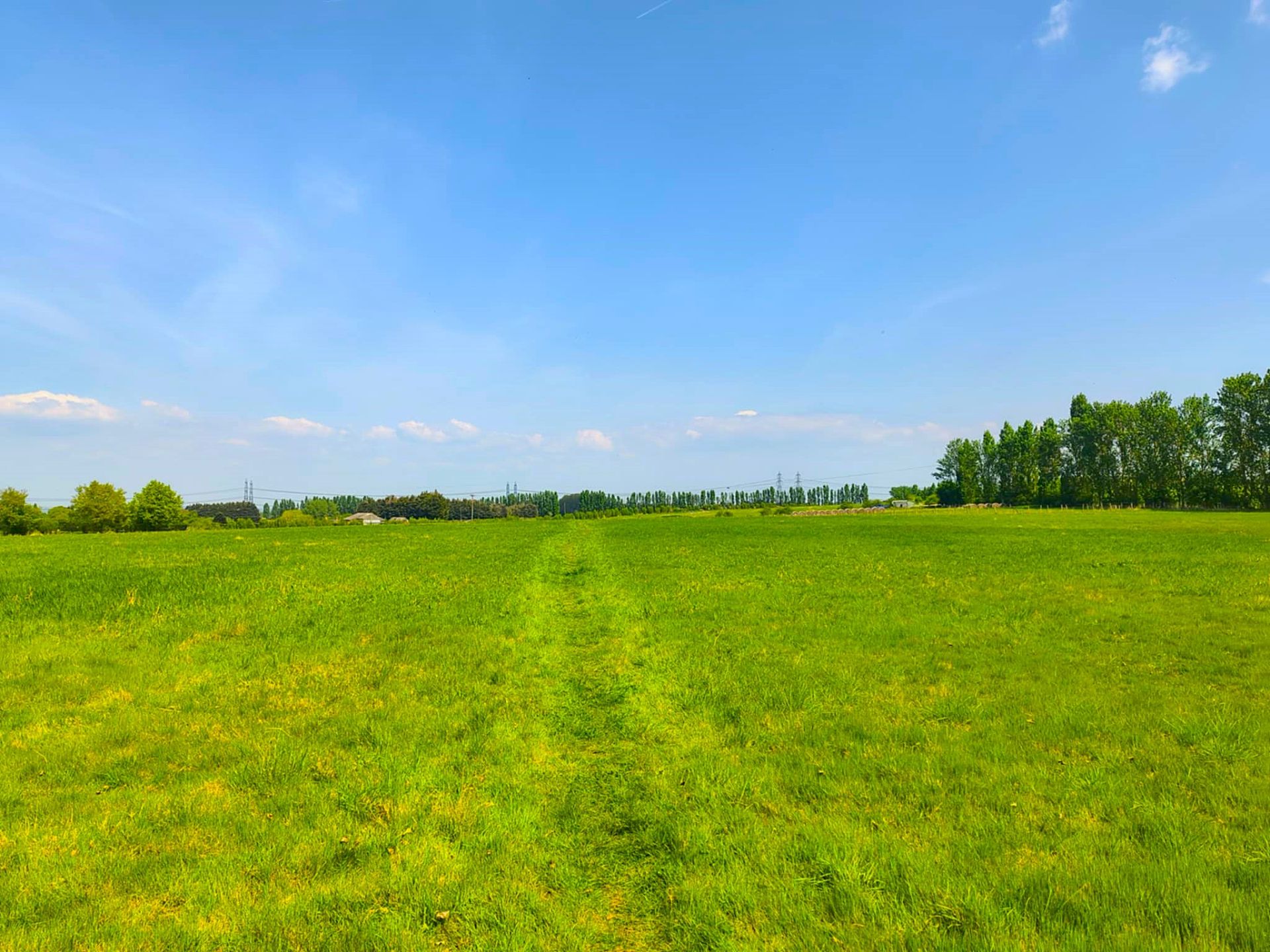Green Field in Cliffe